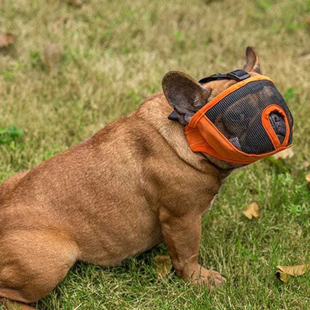 Pets Empire Snout Muzzle for Dogs