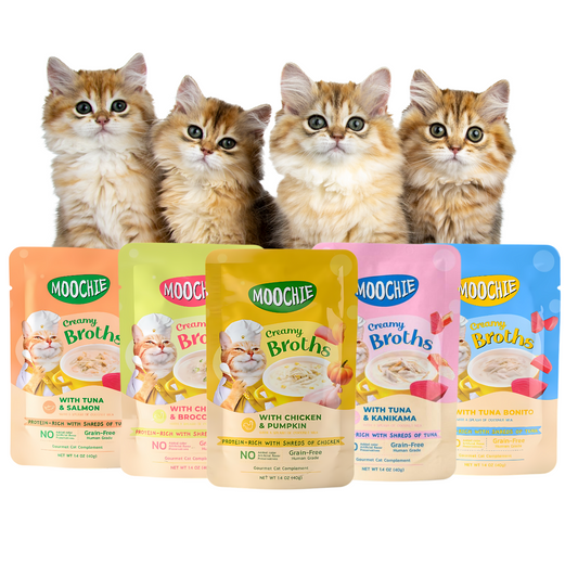 Moochie Creamy Broths for Cats - All Mix Flavors (40g)Each