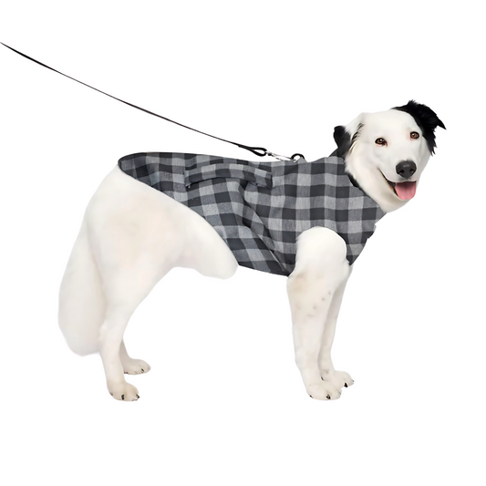 Pets Empire Warm  Winter coat For Dogs (Black)