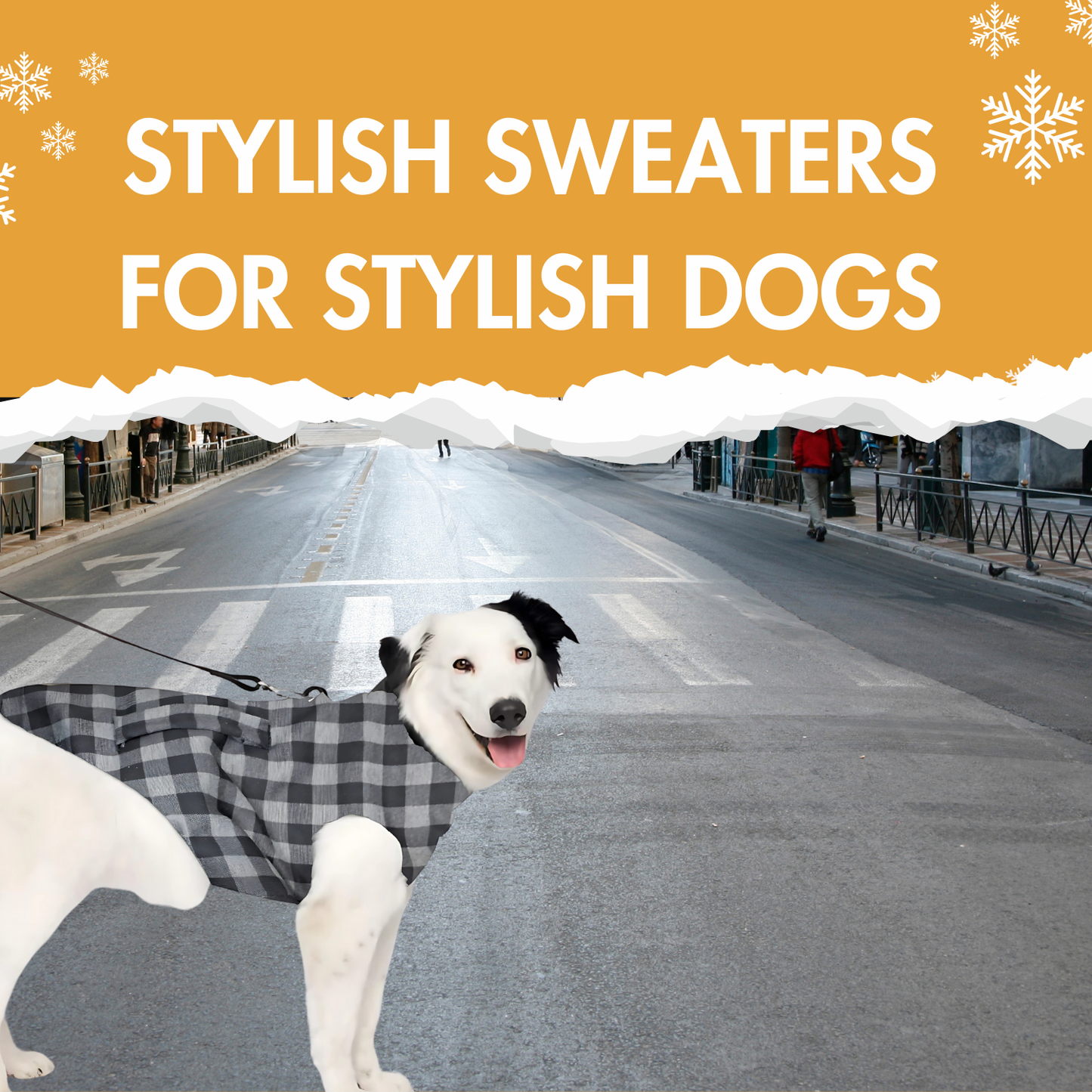 Pets Empire Warm  Winter coat For Dogs (Black)