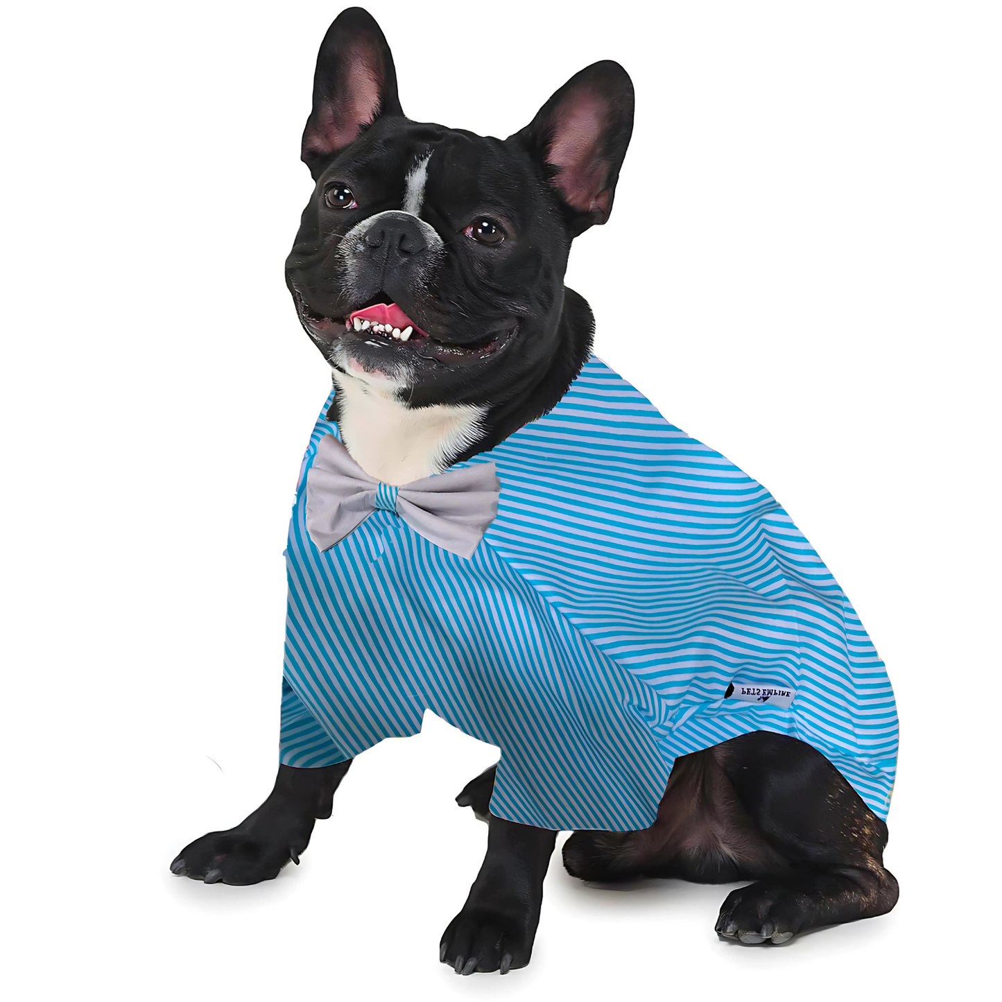 Pets Empire Printed Shirt for Dogs - Stripes & Hues