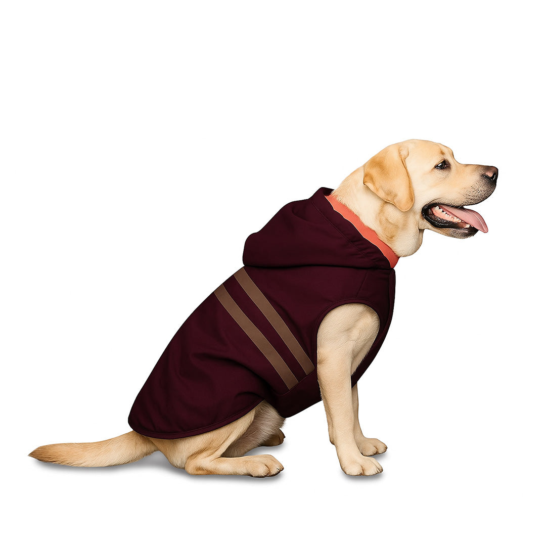 Pets Empire Raincoat for Dogs - Maroon