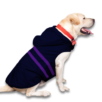 Pets Empire Raincoat for Dogs - Royal Blue