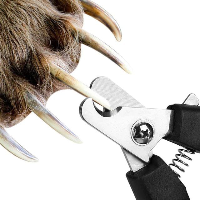 Pets Empire Nail Clippers for Dogs & Cats