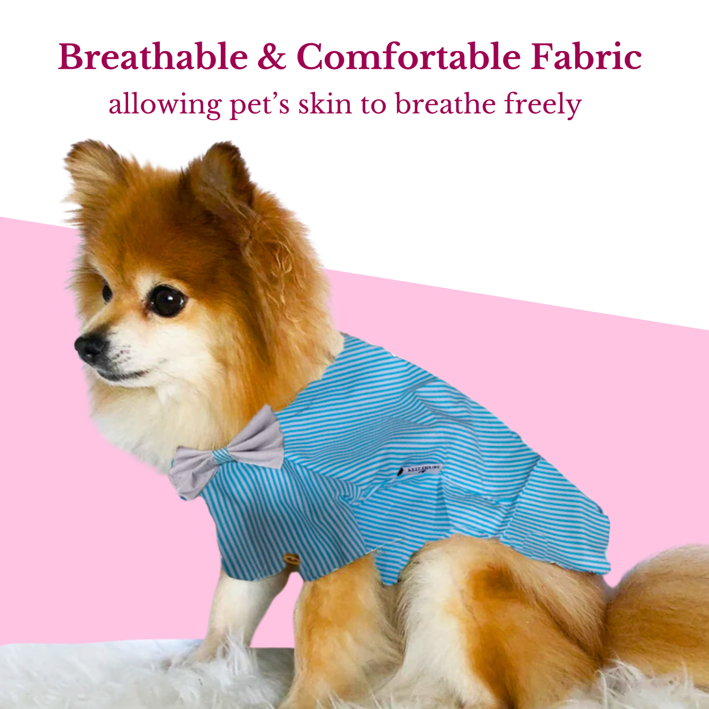 Pets Empire Printed Shirt for Dogs - Stripes & Hues