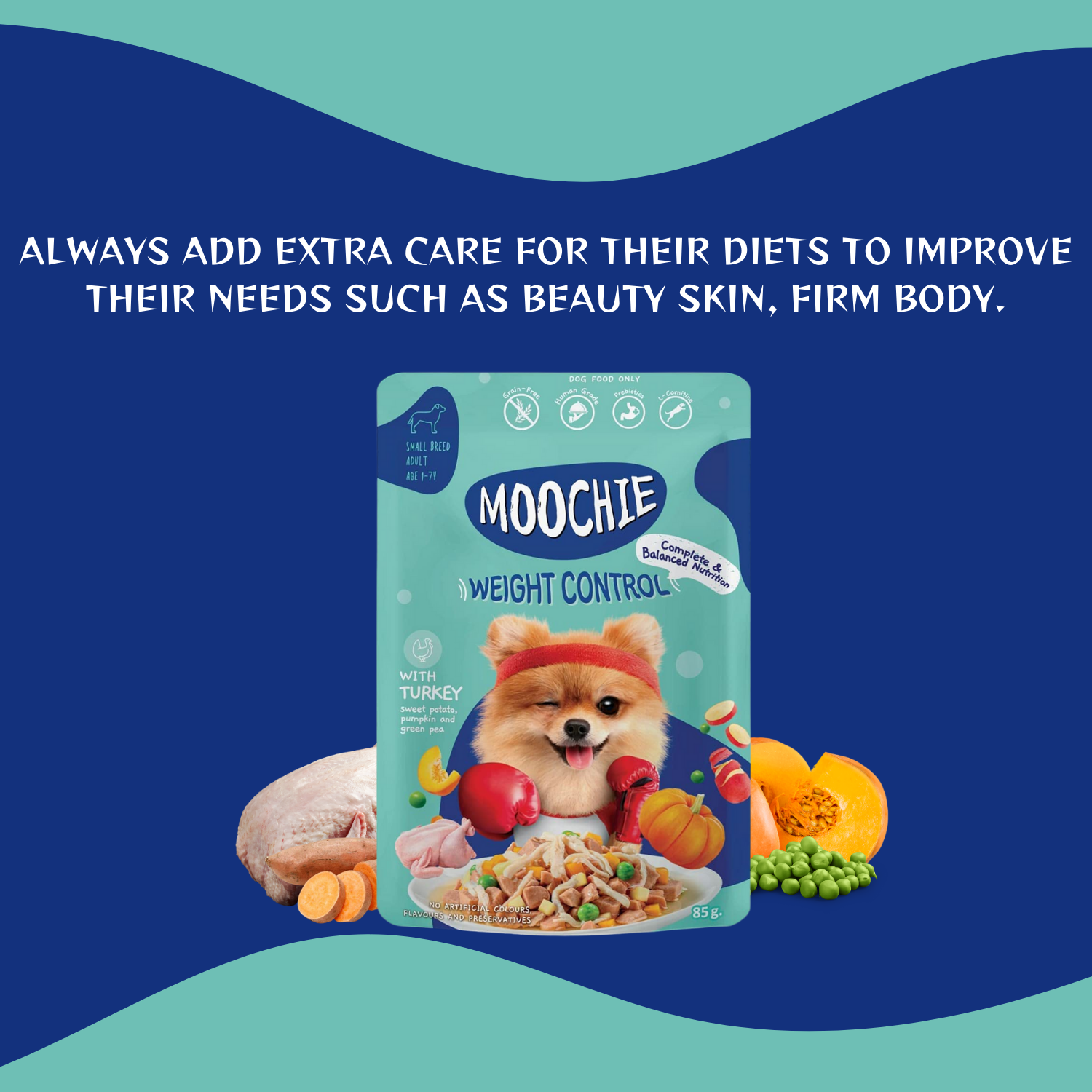 Moochie 6-Flavor Mixed Wet Dog Food Pack – 85g Pouches