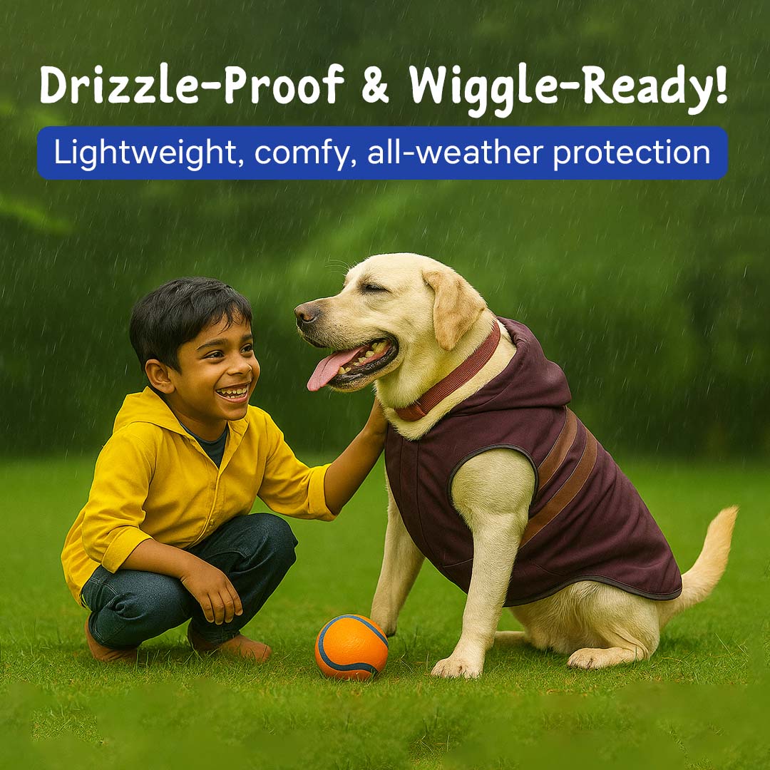 Pets Empire Raincoat for Dogs - Maroon