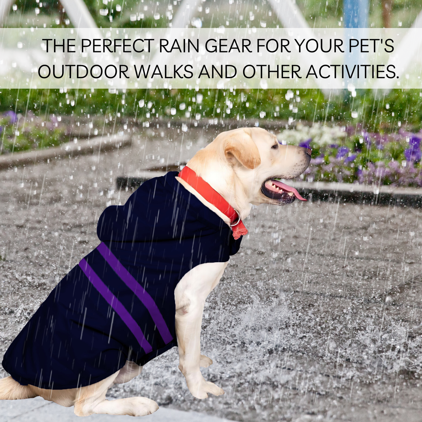 Pets Empire Raincoat for Dogs - Royal Blue