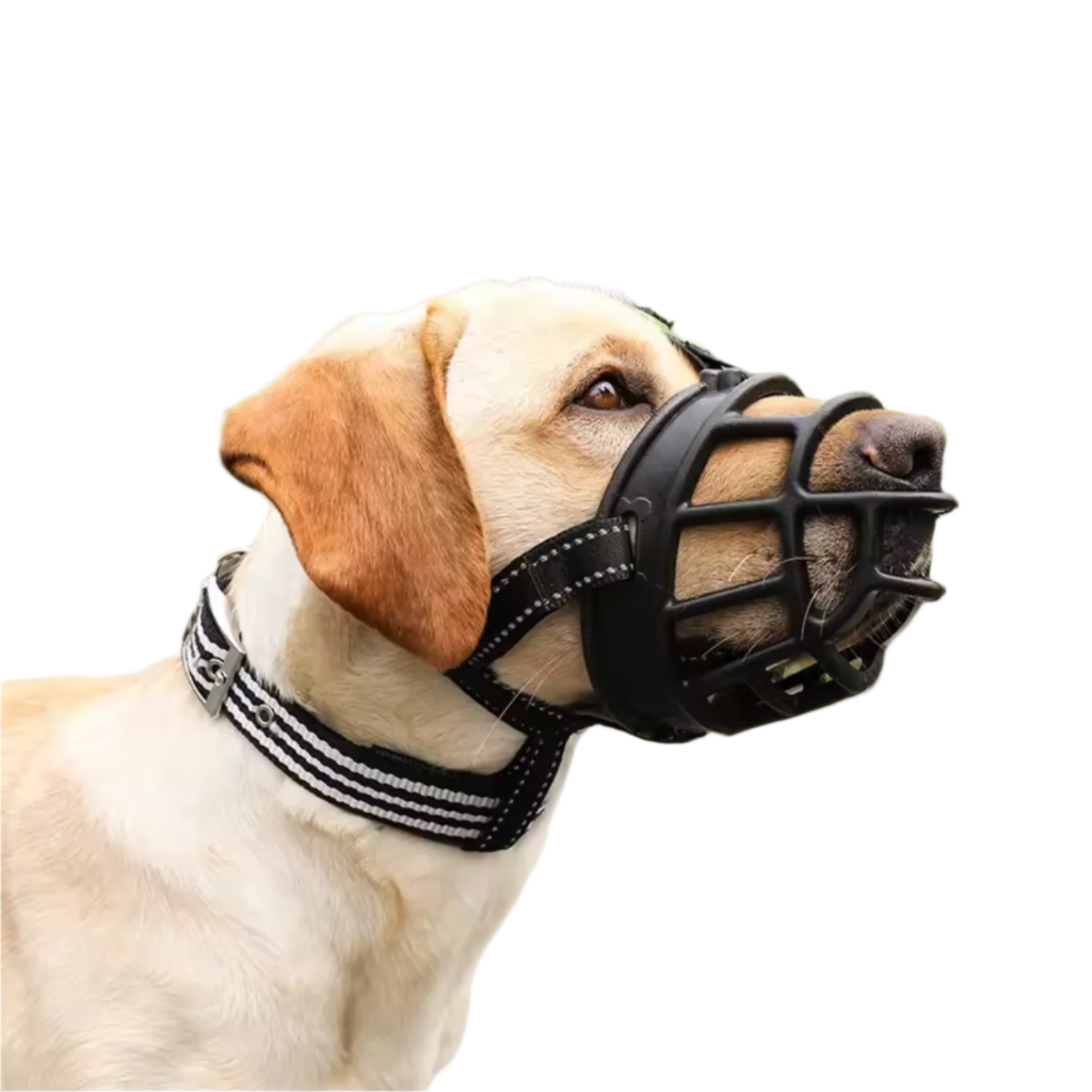 Pets Empire Soft Silica Gel Dog Muzzles