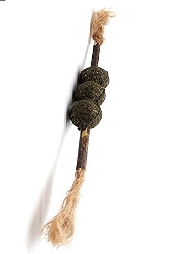 Pets Empire Natural Catnip  Play Toy for Kitten