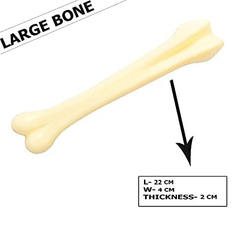 PETS EMPIRE Rubber  Chew Dog Bone Toy Pack Of 2