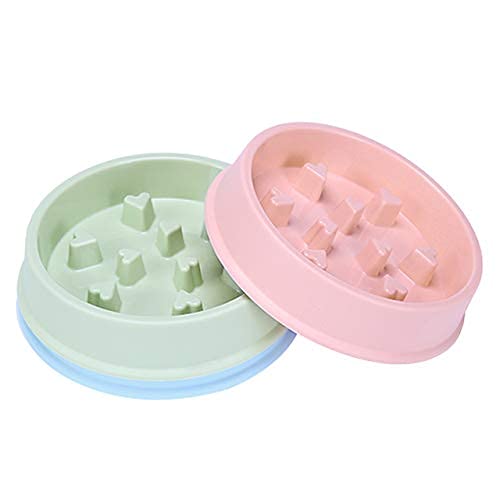 Pets Empire Pet Feeder,Non-Spill Multi-Purpose Bowl (Color May Vary)