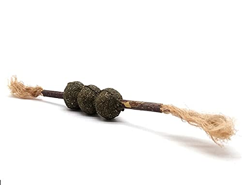 Pets Empire Natural Catnip  Play Toy for Kitten