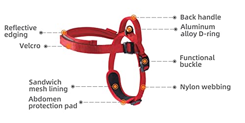 Pets Empire Adjustable Mesh Padded Dog Harness (XS)
