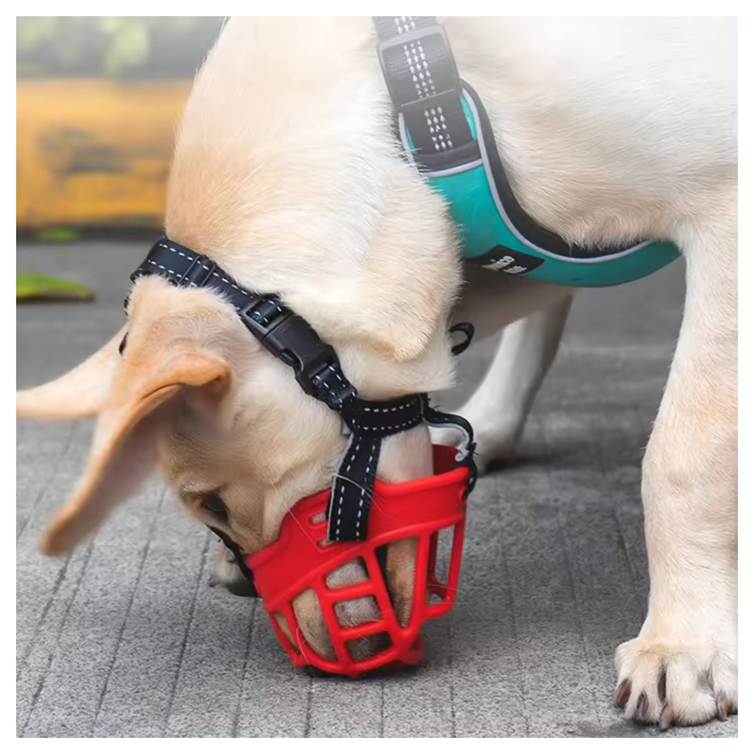 Pets Empire Soft Silica Gel Dog Muzzles