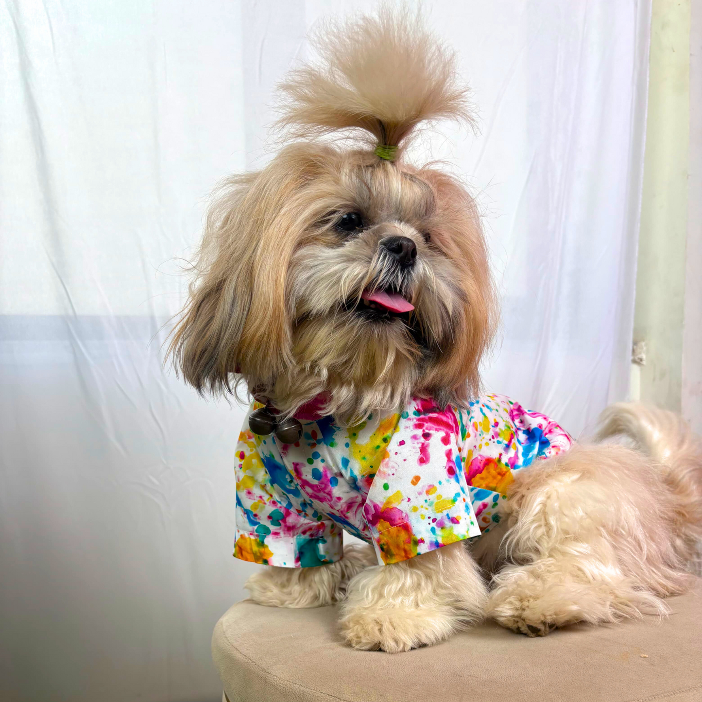 Pets Empire Holi Shirt For Dogs- Festive Edition