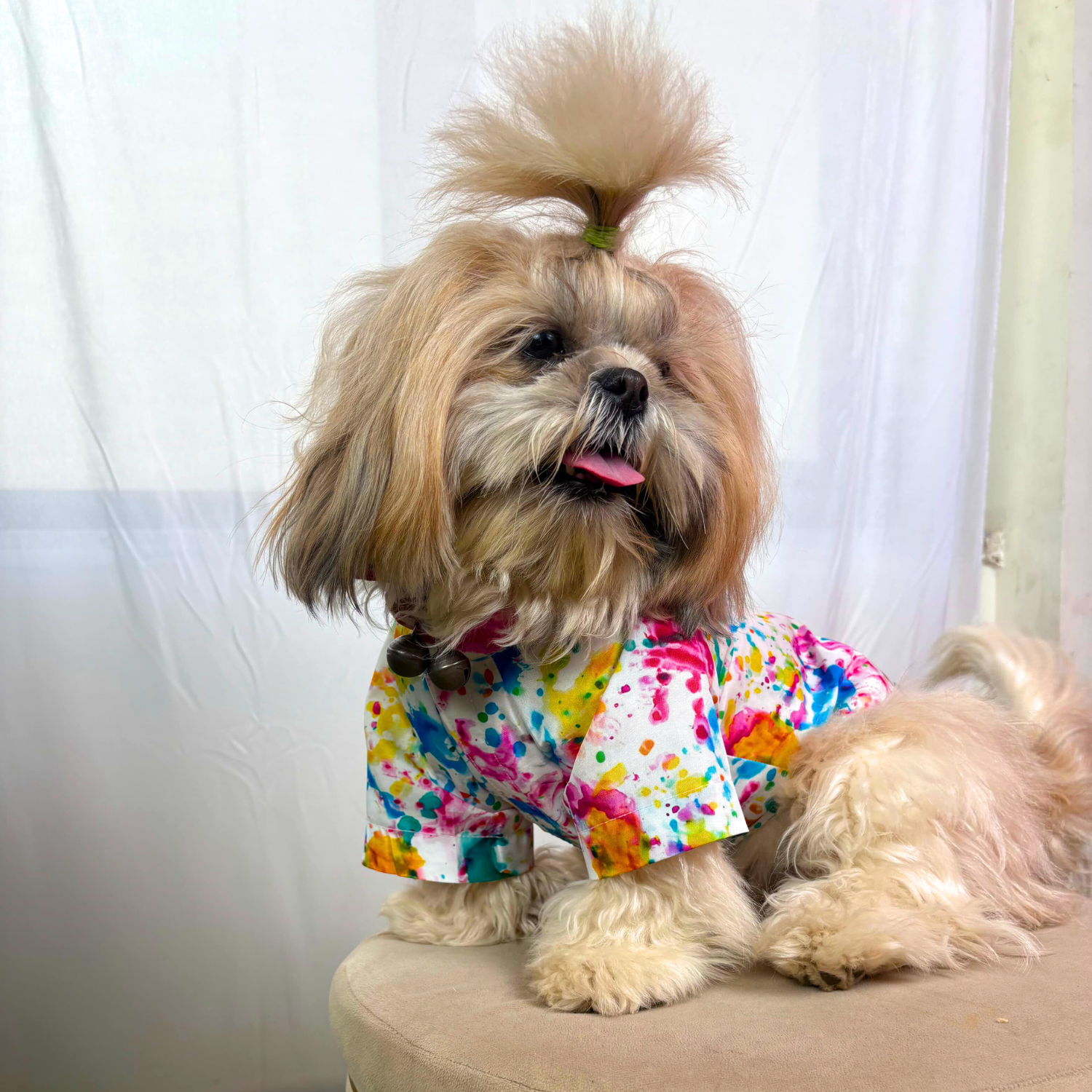 Pets Empire Artistic Paint Splatter Dog Shirt