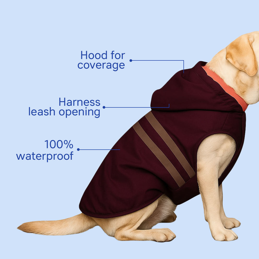 Pets Empire Raincoat for Dogs - Maroon