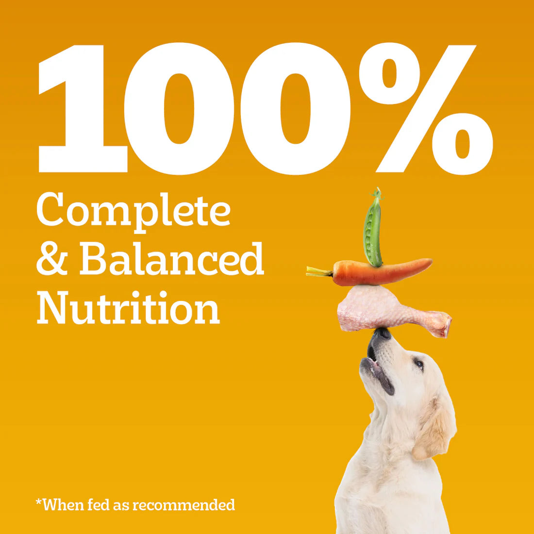 Pedigree Meat & Milk Puppy Dry Puppy Food