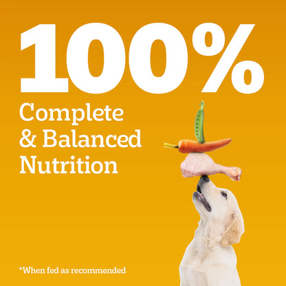 Pedigree Meat & Milk Puppy Dry Puppy Food