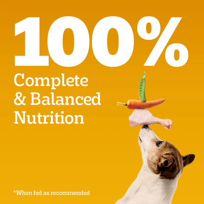 Pedigree Vegetarian Dry Food For Adult Dogs & Puppy