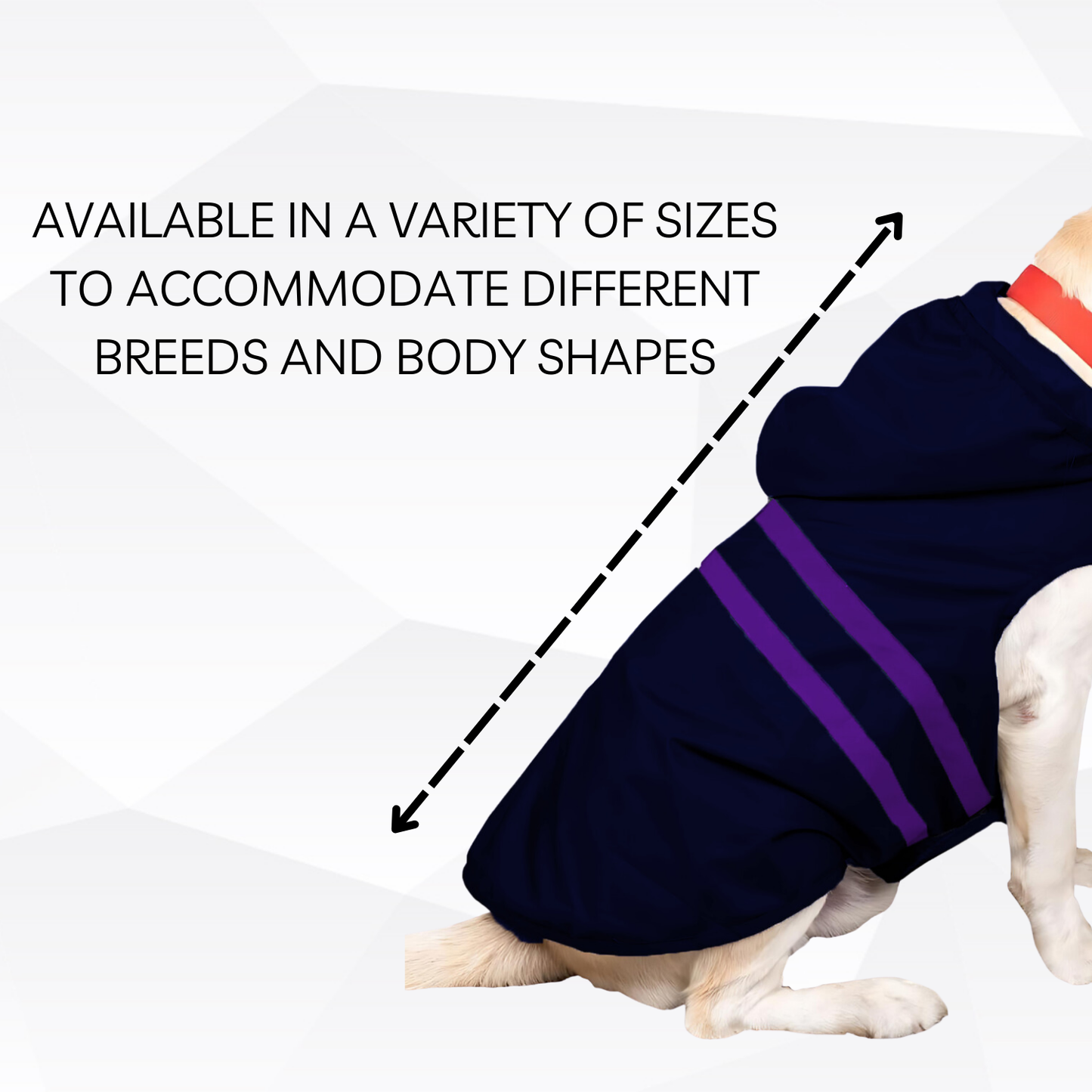 Pets Empire Raincoat for Dogs - Royal Blue