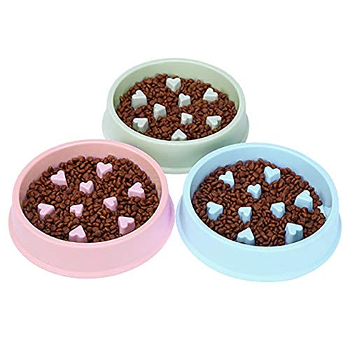 Pets Empire Pet Feeder,Non-Spill Multi-Purpose Bowl (Color May Vary)