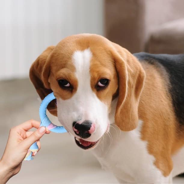 Pets Empire Dog Chew Rope Toys for Playtime and Teeth Cleaning Toy (Pack of 2)