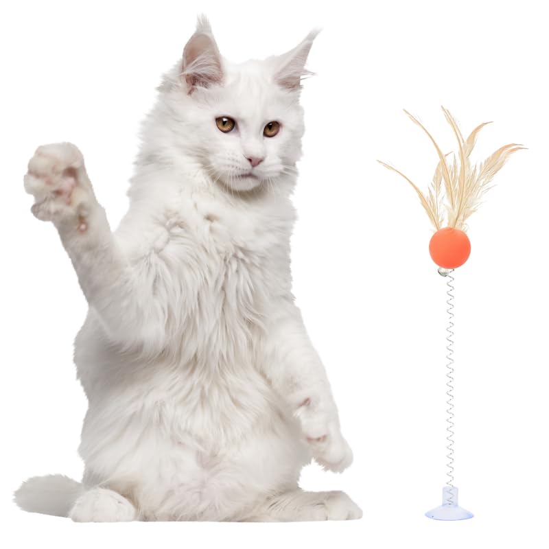 Pets Empire Spring & Feather Teaser Toy for Cats (Pack of 2)
