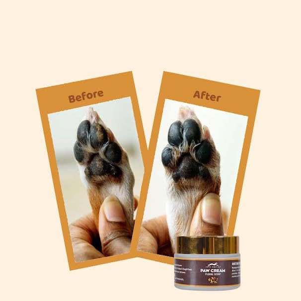 Pets Empire Paw Care Kit for Dogs - Neem Flavour
