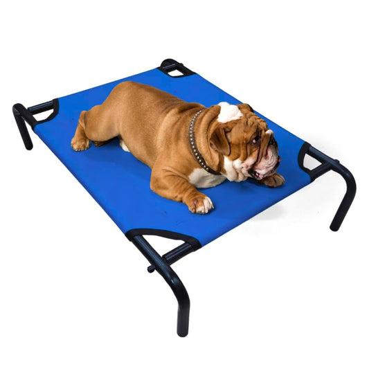 Pets Empire  Elevated Cooling Pets Bed (Blue)