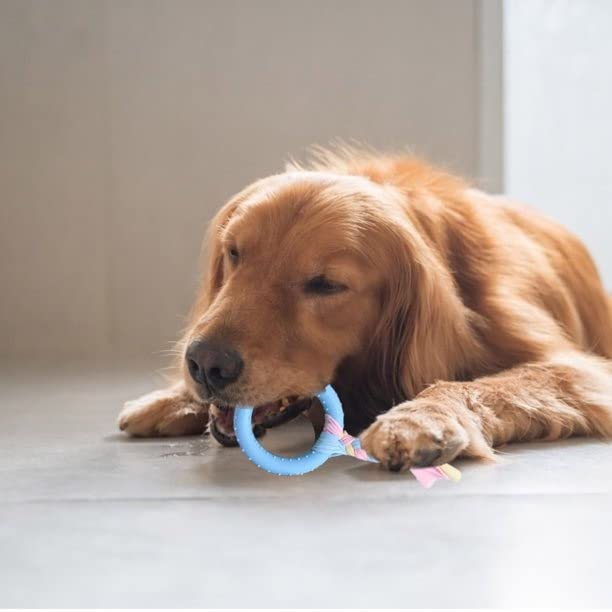 Pets Empire Dog Chew Rope Toys for Playtime and Teeth Cleaning Toy (Pack of 2)