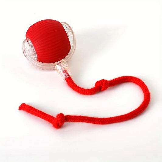 Pets Empire Interactive Smart self Rolling Ball for Cat & Dog Toy