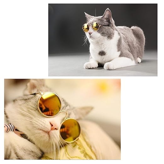 Pets Empire Eye Protection Sunglasses for Cat/Dogs