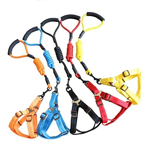 Pets Empire Adjustable Harness Leash Rope for Dogs (Multi Color)