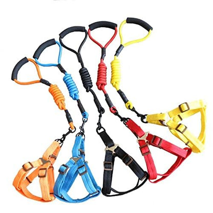 Pets Empire Adjustable Harness Leash Rope for Dogs (Multi Color)