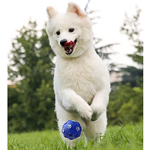 Pets Empire Paw Print Ball Toy (PACK OF 2)