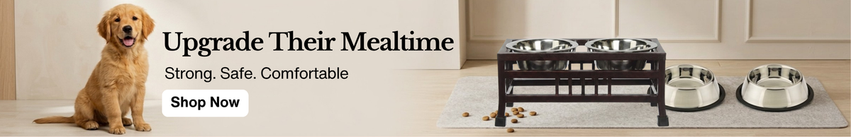 Promo Banner