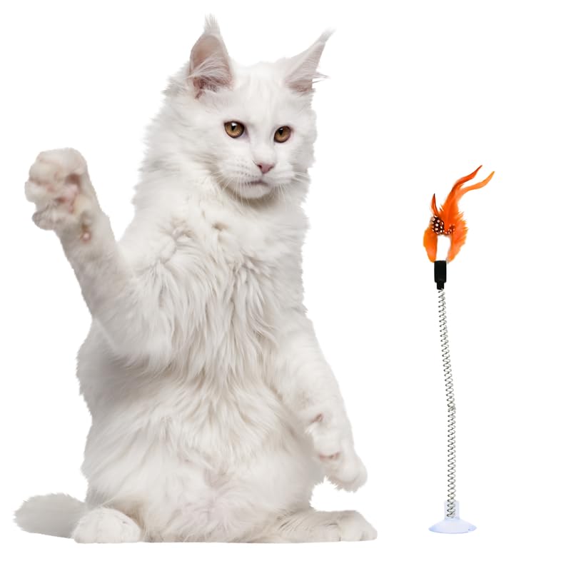 PETS EMPIRE Spring & Feather Teaser for Kittens & Cats (Pack of 2)