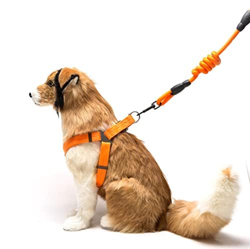 Pets Empire Adjustable Harness Leash Rope for Dogs (Multi Color)