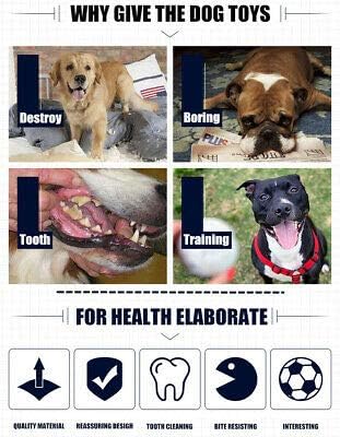 PETS EMPIRE Training Chew Teeth Plastic Flying Discs Toy Pack of 2 (Multicolor)