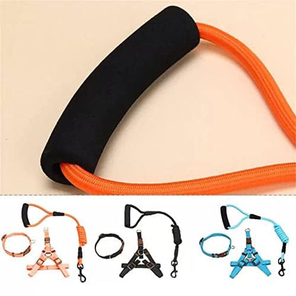 Pets Empire Adjustable Harness Leash Rope for Dogs (Multi Color)