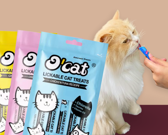 Creamy Treats