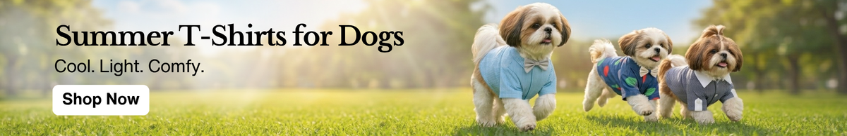 Promo Banner