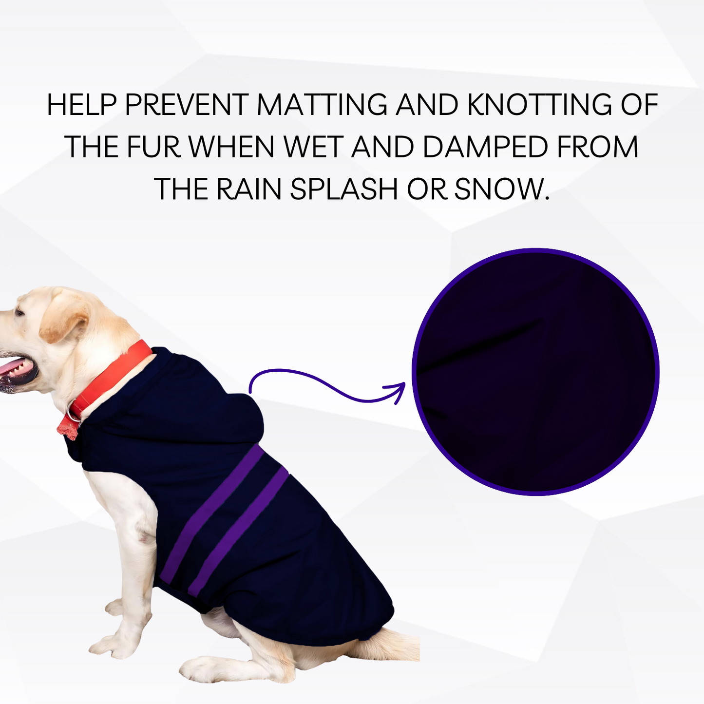 Pets Empire Raincoat for Dogs - Royal Blue
