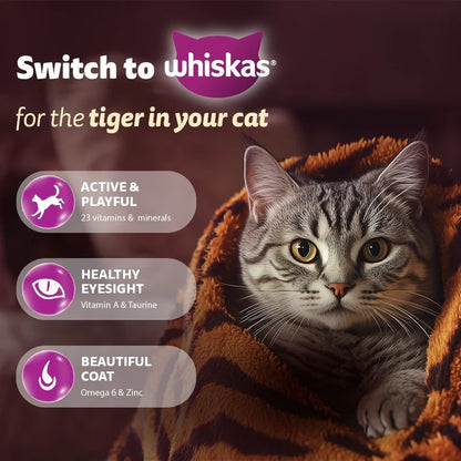 Whiskas Chicken Dry Food For Adult Cat