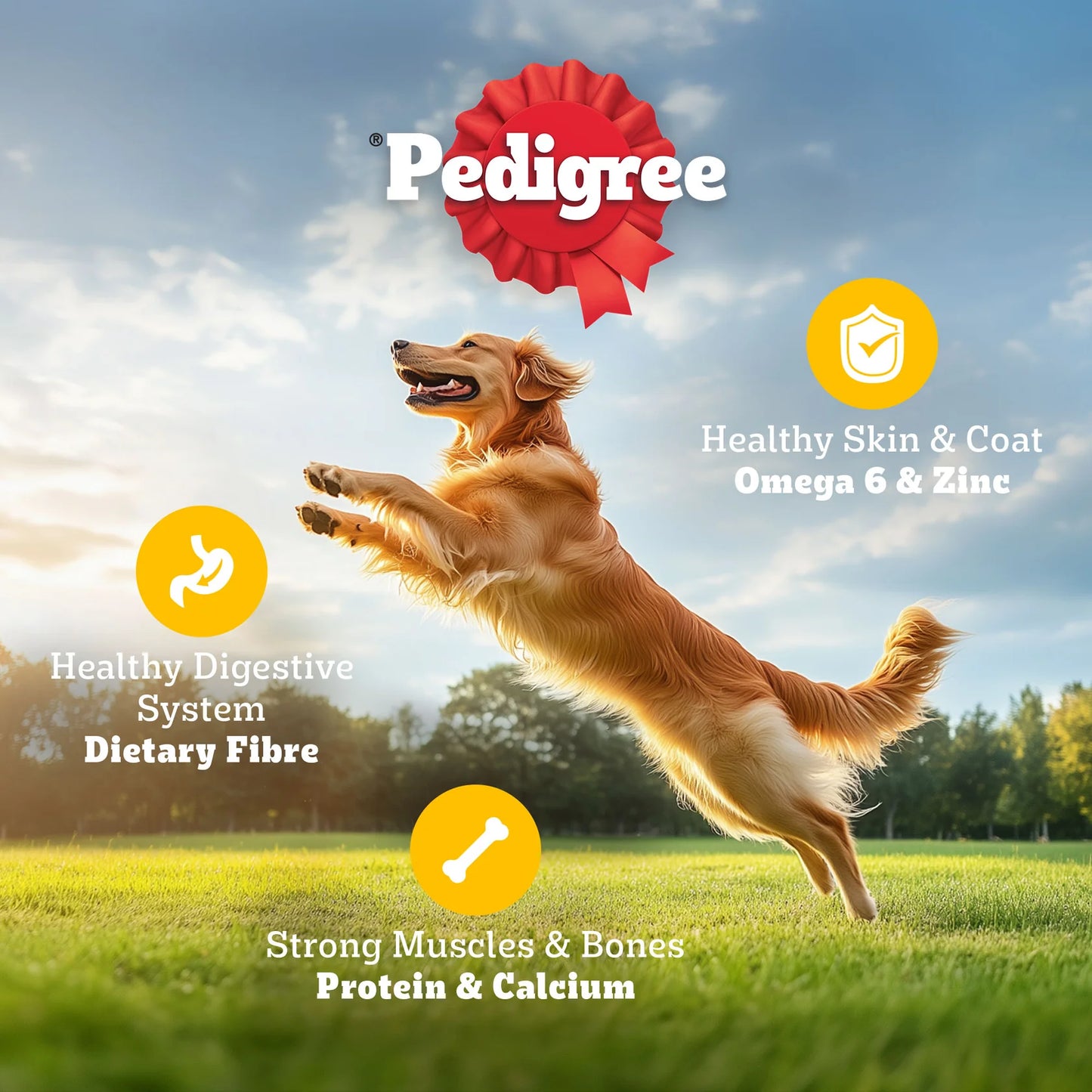 Pedigree Vegetarian Dry Food For Adult Dogs & Puppy