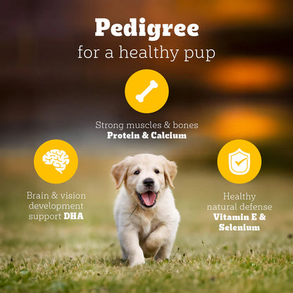 Pedigree Meat & Milk Puppy Dry Puppy Food