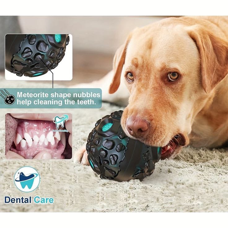 Pets Empire Treat Dispenser Chew Ball with Squeaker for Dogs Multicolor (Pack of 2)