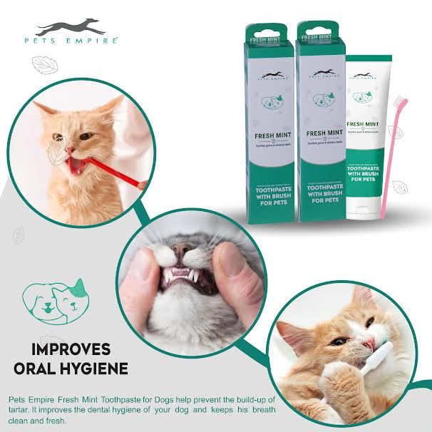 Pets Empire Pet Dental Oral Care Kit Combo - Dog Toothpaste with Brush (Buy 1 Get 1 Free)